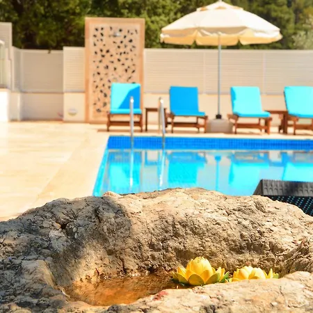 Sezin Villa